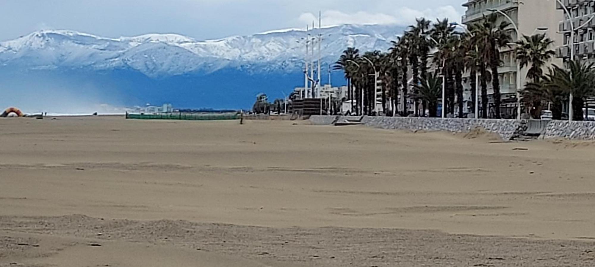 Chambres D'Hotes Un Ete Sans Fin A 50 M De La Plage A Canet Plage ภายนอก รูปภาพ